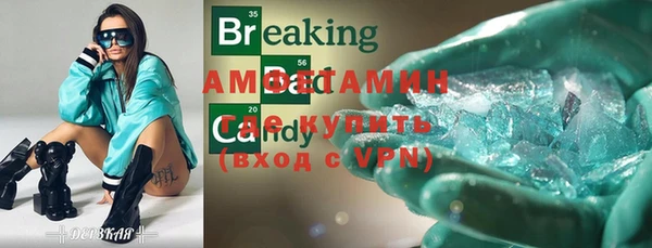 стаф Ростов