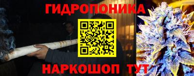 мдпв Жуковский