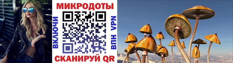 omg вход  Елизово  Галлюциногенные грибы GOLDEN TEACHER 