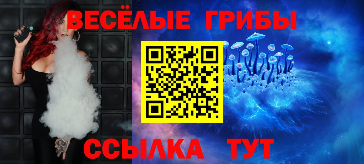 Галлюциногенные грибы Magic Shrooms  Вход с VPN  наркошоп  Елизово 